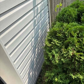 Bush Trimming by Discount Mowing reviewed on October 12, 2021