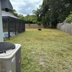 Cleanups by MR LAWN CARE reviewed on July 2, 2022