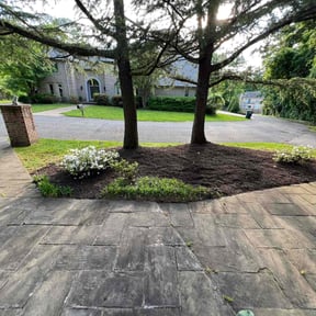 Cleanups by Verde lawn care reviewed on April 26, 2022