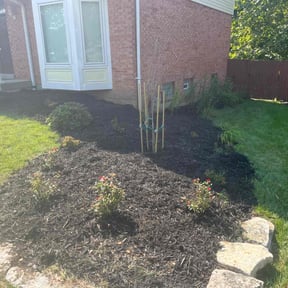 Mulching by Choice Specialties LLC reviewed on July 8, 2022