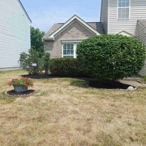 Mulching by Happy plantsman reviewed on September 12, 2024