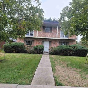 Bush Trimming by Best Green Area reviewed on November 10, 2021