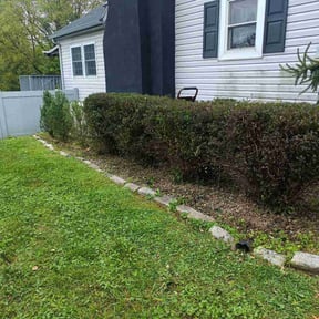 Bush Trimming by FRL Landscaping reviewed on August 8, 2022