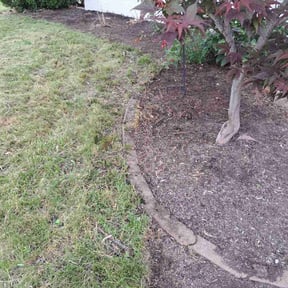 Cleanups by NRB Landscape Services reviewed on June 13, 2022