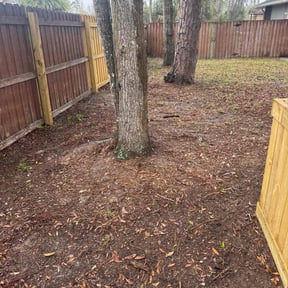 Leaf Removal by Tripps lawn reviewed on May 30, 2022