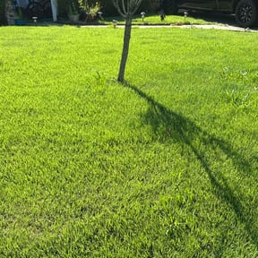 Weeding by Los Hombre Landscaping reviewed on December 19, 2023