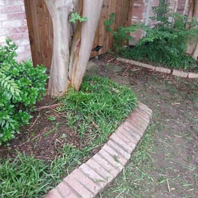 Flower Bed Weeding by Lawn In Order reviewed on June 24, 2022
