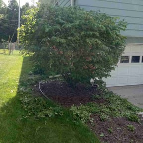 Bush Trimming by Souders Lawn Care and Landscaping reviewed on August 23, 2021