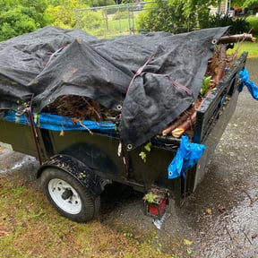 Cleanups by Legit Lawn Care Plus reviewed on June 7, 2022