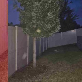 Bush Trimming by HTS Landscapes reviewed on July 21, 2022