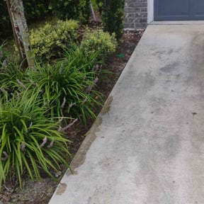 Flower Bed Weeding by J&S home services reviewed on July 7, 2025