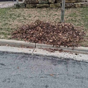 Leaf Removal by Gods Property Lawn & landscaping reviewed on July 19, 2021