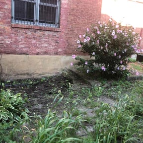 Flower Bed Weeding by Loyalty Repairs reviewed on May 9, 2025