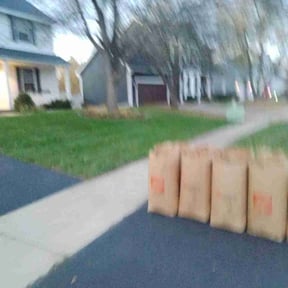 Leaf Removal by Service with a smile reviewed on October 19, 2022
