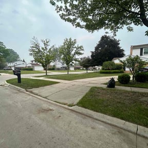 Leaf Removal by J.e property management reviewed on August 31, 2020