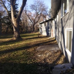 Cleanups by Blue Line Landscaping reviewed on July 8, 2022