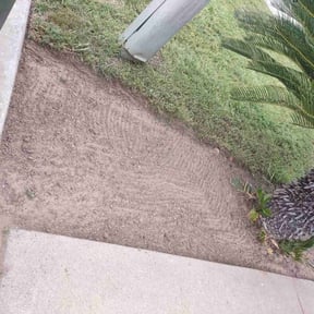 Flower Bed Weeding by K C  lawn care reviewed on July 20, 2022