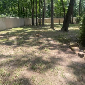 Leaf Removal by One yard at a time reviewed on April 15, 2022