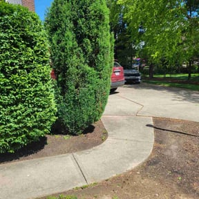 Bush Trimming by Nates Lawn Service reviewed on September 28, 2021