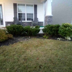 Bush Trimming by MJ&#039;S Lawn service reviewed on September 15, 2024