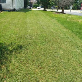 Landscaping by Electric Cut Lawn Care LLC reviewed on May 1, 2025
