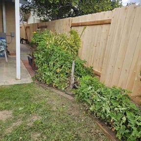 Bush Trimming by Triple S Cuts & Cleanouts reviewed on May 16, 2022