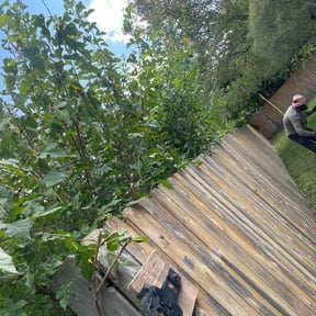 Cleanups by Lemons Lawn Care reviewed on April 29, 2022