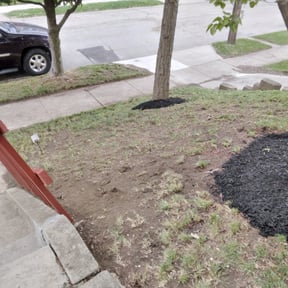 Cleanups by 3DM reviewed on December 1, 2021