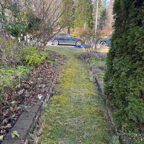 Leaf Removal by Peoples Champ Lawn and Landscape reviewed on July 25, 2022