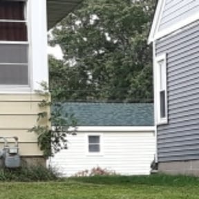 Bush Trimming by Clear landscapes llc reviewed on November 8, 2021