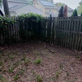 Leaf Removal by Murphy's Lawn Service reviewed on May 10, 2022