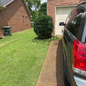 Bush Trimming by Anton Lawn Care reviewed on May 1, 2025