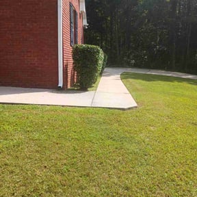 Bush Trimming by TruGreen LawnCare reviewed on June 12, 2025
