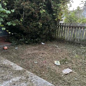 Cleanups by We do it all llc reviewed on May 2, 2025