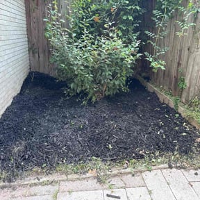 Weeding by H & S Lawn Service. reviewed on August 6, 2020