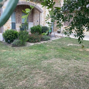 Flower Bed Weeding by Chacon Lawn Care reviewed on March 14, 2025