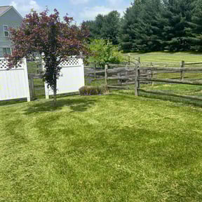 Bush Trimming by Tucker Enterprises reviewed on May 18, 2022