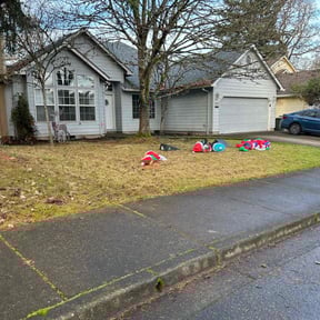 Leaf Removal by Rickys lawn care reviewed on October 21, 2022
