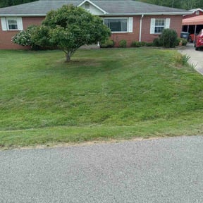 Bush Trimming by JBI Property Service LLC reviewed on April 17, 2025