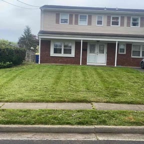 Bush Trimming by Green landscaping LLc reviewed on June 2, 2022