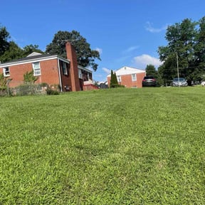 Bush Trimming by Gary' s Lawn Care Service reviewed on May 20, 2025