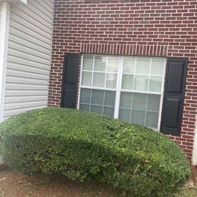 Bush Trimming by P E &amp; S Outdoors Limited Co reviewed on June 1, 2025