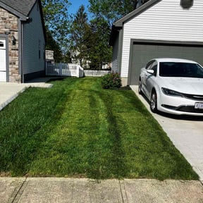Flower Bed Weeding by HLC Management reviewed on June 13, 2022