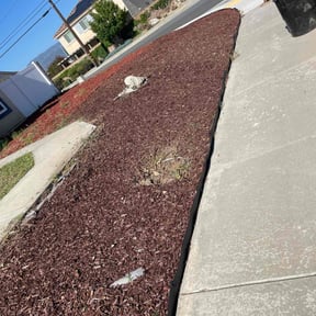 Weeding by Zeroslandscape reviewed on January 2, 2025