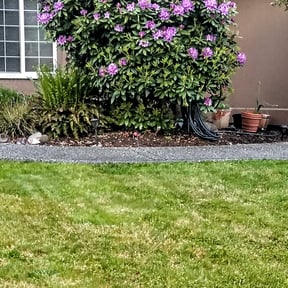 Flower Bed Weeding by Nates Lawn Service reviewed on July 19, 2022
