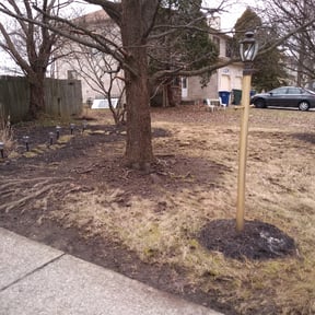 Cleanups by Rhoyalty Lawn Care, LLC reviewed on June 9, 2022