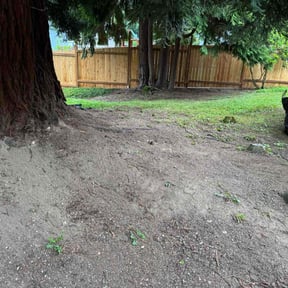 Leaf Removal by Mike's lawn care reviewed on April 5, 2022