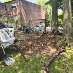 Cleanups by Steve’s mowing company reviewed on August 26, 2024