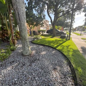 Leaf Removal by Central TX Services reviewed on June 24, 2022