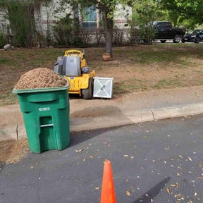 Leaf Removal by Go Green Garza Solutions reviewed on October 29, 2024